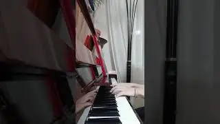 Руль для Скрипалів