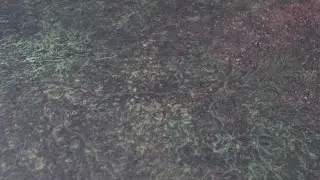 Deep Cut Studios Forest Mat