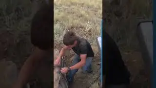 ОТКОПАЛ МАШИНУ 70Х ЧАСТЬ 2! 