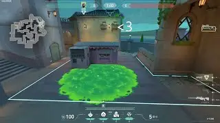 The Best Molly Spread You've Ever Seen (I love Pearl A Site)
