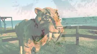 Tigre Ulli - Fotos y Videos