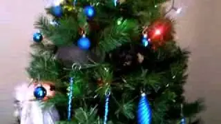 Cat climbs  Christmas tree  very funny