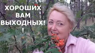 ПЕРЫЕ ОСЕННИЕ ГРИБЫ КРЕМЕНЧУГ 2021