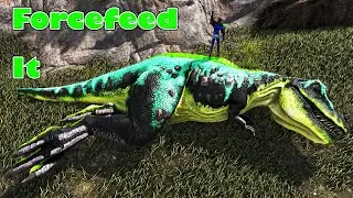 Ark Taming in a NUTSHELL