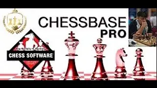 تعلم أوامر و خفايا الشيس بيس  Chess Base15  تعلم أمر Replay Training للتدريب