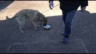С днём рождения Вулкан