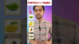 Fruit Stages | Vocabulary | Learn English