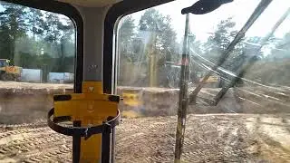 Тайга Тайга