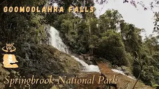 Goomoolahra Falls, Springbrook National Park - 360°/VR Immersive Experience