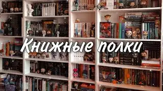ТУР ПО КНИЖНЫМ ПОЛКАМ📚❤️✨