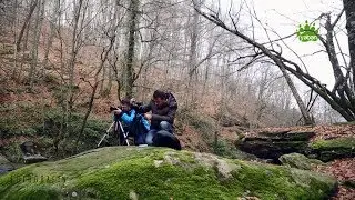Fotoğrafın Doğası 1.Bölüm Yaban Tv