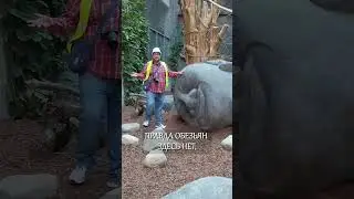 ЗДЕСЬ МОЖНО СНИМАТЬ 