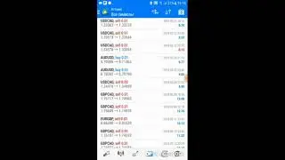Bullrun