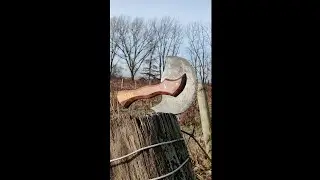 Saw Blade Hatchet