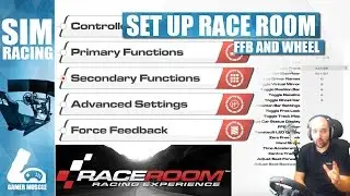 HOW TO SET UP WHEEL AND FFB IN RACE ROOM RACING EXPERIENCE
