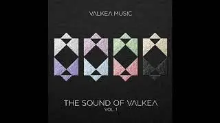 PREMIERE: Pakkio Sans - I Need You [Valkea Music]