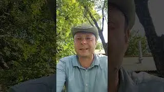 Как выбрать пчеломаток или матковода !!!