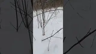 хирабрин 2
