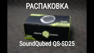 Распаковка твитеров SoundQubed QS-SD25
