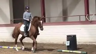 Livia Schuller and Sunny Smiles Novice test B BACH virtual show