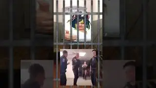 Коротко о новой локации в Геншине: 