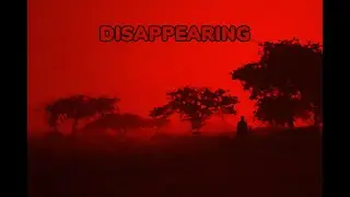 Ozbay - Disappearing