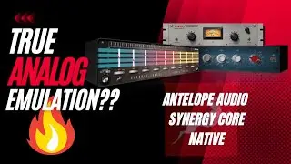 True Analog Emulation?!!-Antelope Audio Synergy Core Native