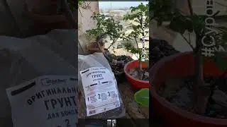 Лучший подарок для производителя, это ваши отклики на продукт! 