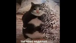 НЕ ТАНЦУЙ!!!!