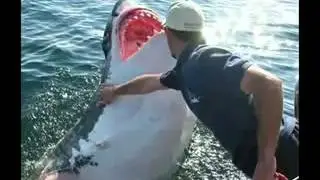 Top 20 Most Amazing Photos in the World