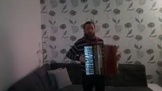 игра на аккордеоне. 