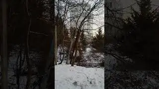 Алупка Крым 23 декабря 2021 г. Выпал снег ....