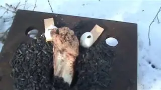 г.Архангельск.прогулка по лесам,страшные находки.