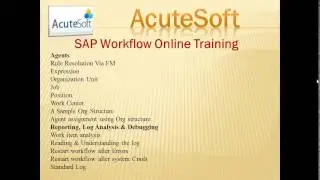 SAP Workflow Online Training