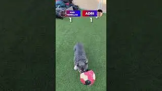 Penalty Shootout Challenge VS Iker Casillas 🤣 