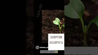 Стихия земли 🌱