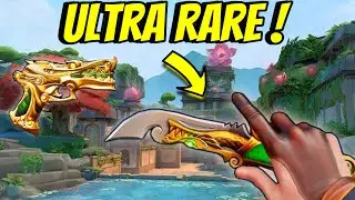 TOP 10 RAREEST VALORANT SKINS! | RAYAKUZAA
