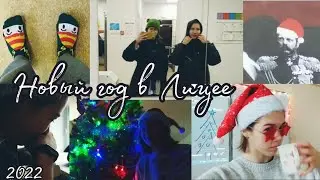 С Новым Годом 🎄 | Новый год в Лицее НИУ ВШЭ | Alisa Barzik