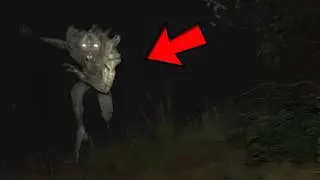 Drone Captured Strange Creature that No One Was Supposed to See!