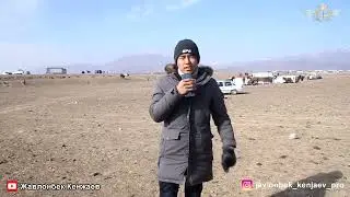 Бузкаши Улоки Каражингил 11 02 2023/Купкари Кукмар Самандар Кенжаев