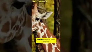 Fakta Aneh Dunia Flora dan Fauna 1#