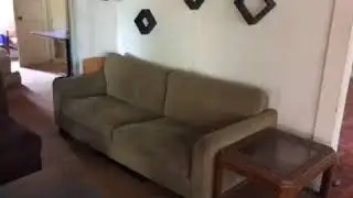 1209 oak 8 6 Monday