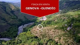 Finca en venta Génova Quindío