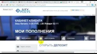 уникальный вид заработка sitypolys