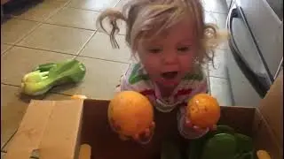 Why My Babies' Love Fruit & Veggies #healthybaby #veggies
