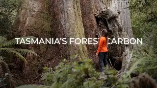 Tasmania's Forest Carbon Documentary Promo