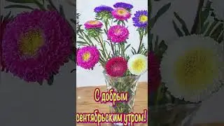 Поздравляю С Первым Днем Осени🍁🍁🍁!!