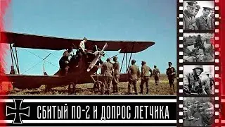 Сбитый самолет По-2 и допрос летчика ВВС РККА  / The downed plane and the interrogation of the pilot