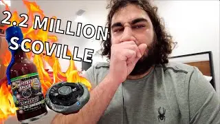 Eating worlds hottest sauces & beyblade battling your combos