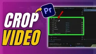 How to Crop a Video in Premiere Pro - 2024